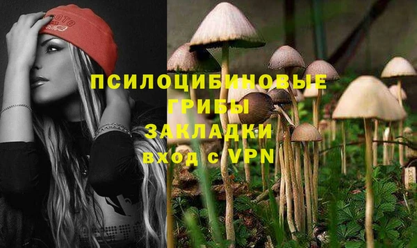 МДПВ Алексин