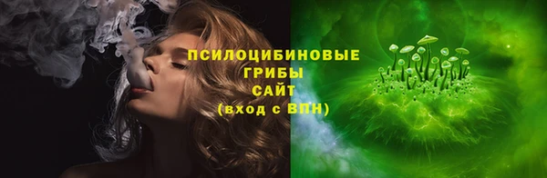 МДПВ Алексин