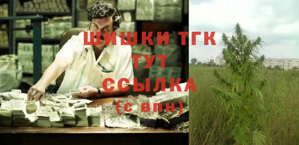 МДПВ Алексеевка