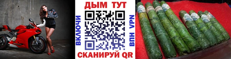 Конопля SATIVA & INDICA  где продают   Цимлянск 